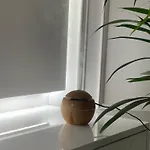 Cahani